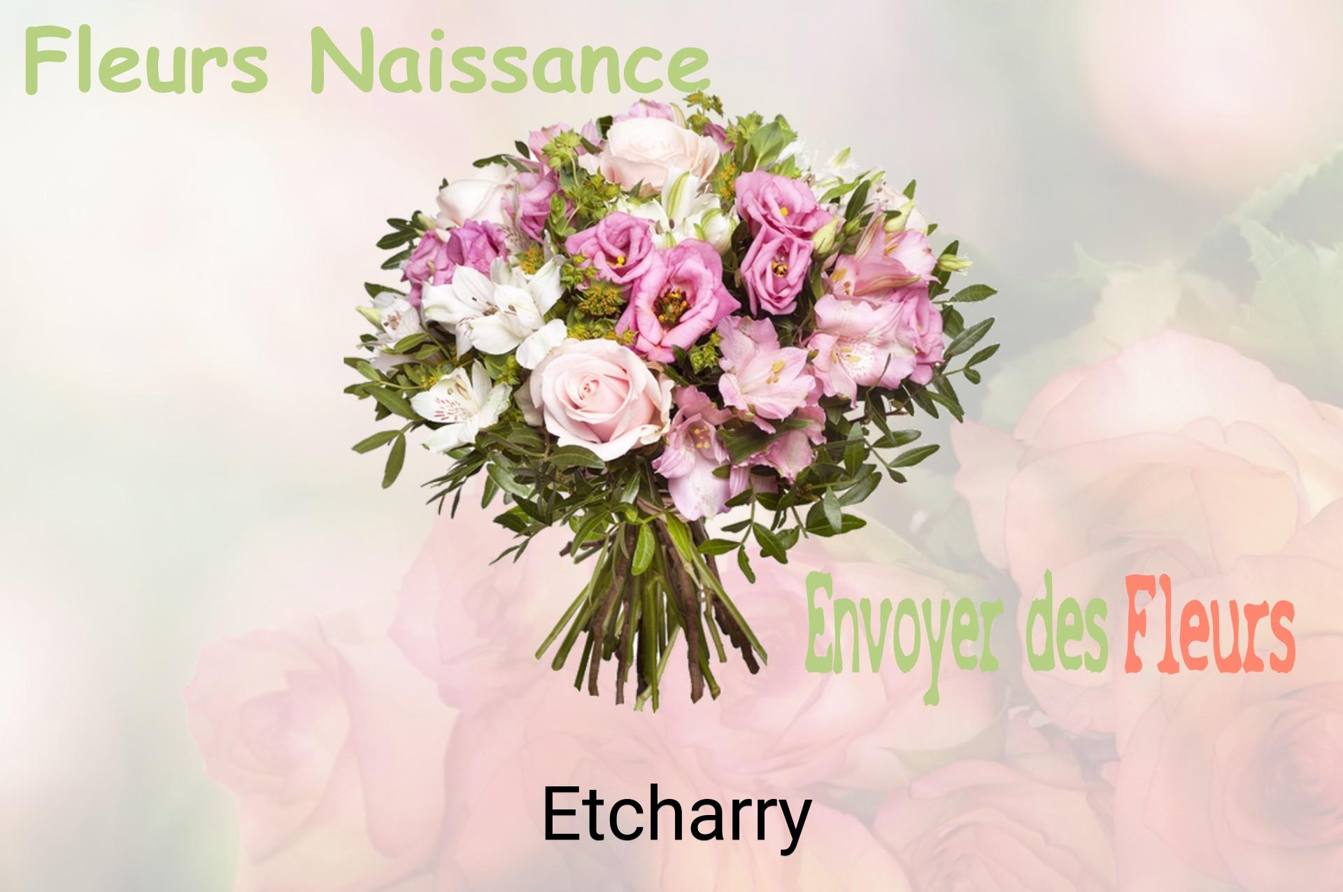 Bouquet de fleurs de naissance livré à Etcharry